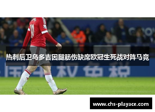 热刺后卫乌多吉因腿筋伤缺席欧冠生死战对阵马竞 热刺后卫乌多吉因腿筋伤缺席欧冠生死战对阵马竞