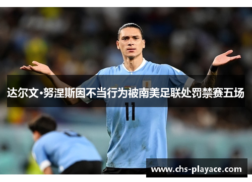 达尔文·努涅斯因不当行为被南美足联处罚禁赛五场 达尔文·努涅斯因不当行为被南美足联处罚禁赛五场